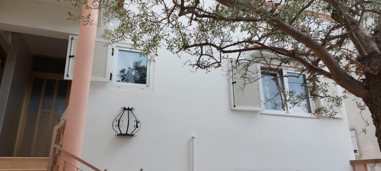 Apartmán Olive Tree Zadar Exteriér fotografie